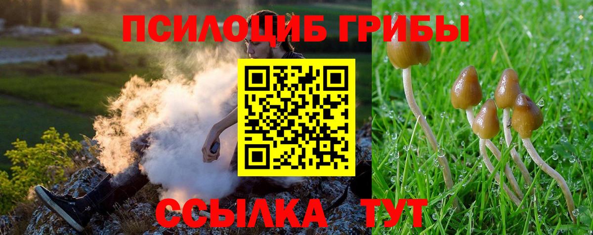 Галлюциногенные грибы Magic Shrooms Гай